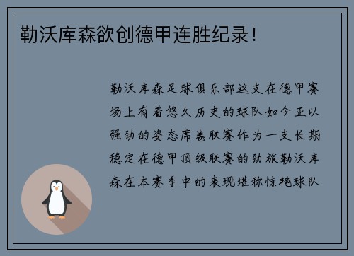 勒沃库森欲创德甲连胜纪录！